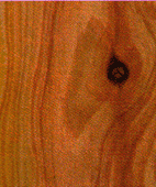 wood flooring species - australian cypress