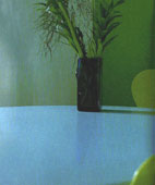 Wall Decor with Paint: Detail of Green Kitchen